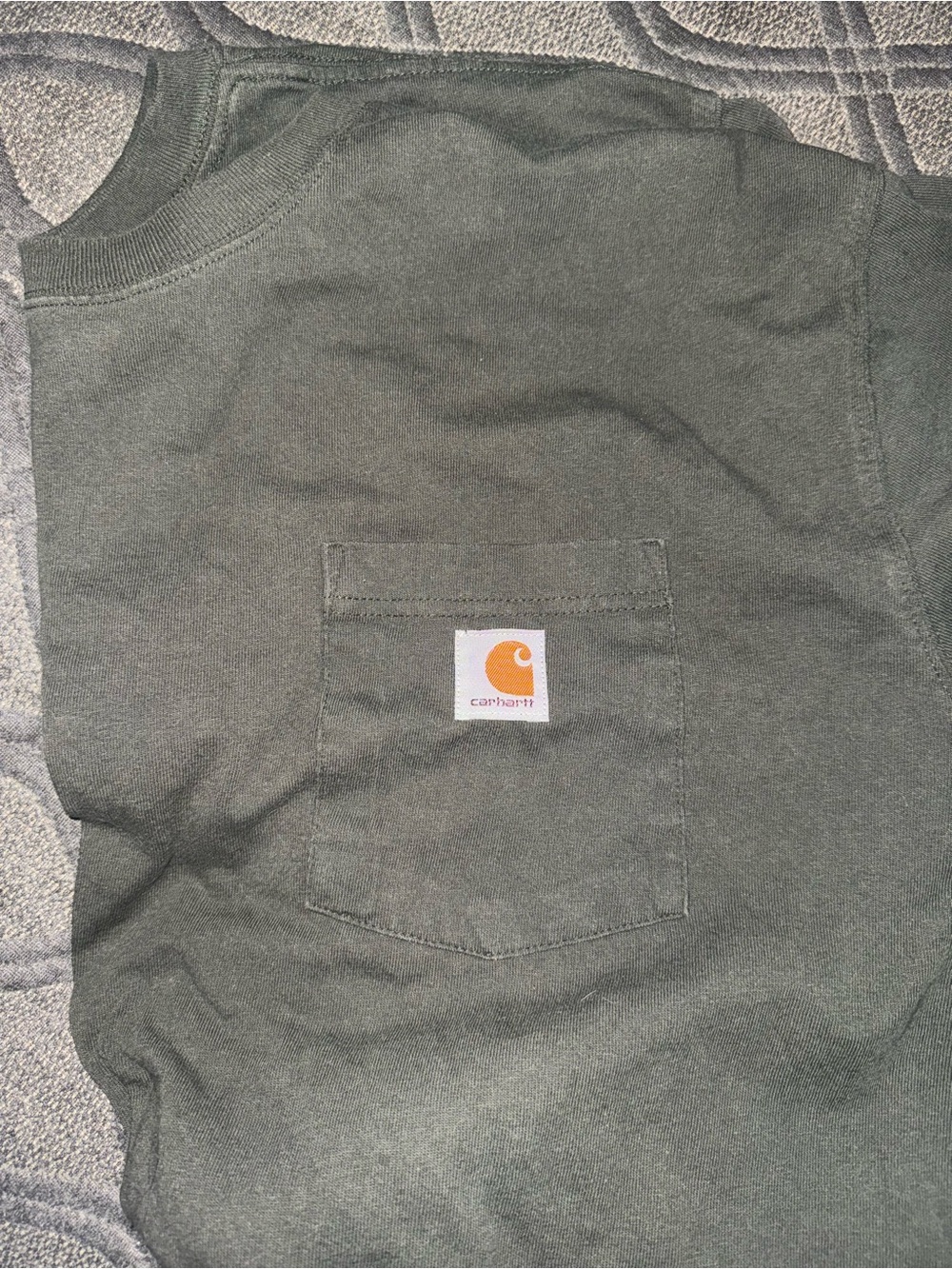 Carhartt Loose Fit Tee in Olive